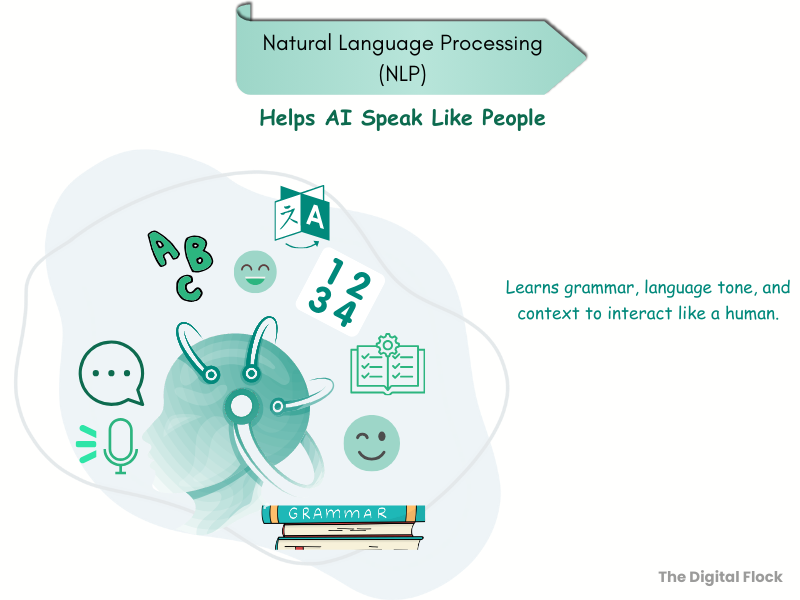 Natural Language Processing (NLP)