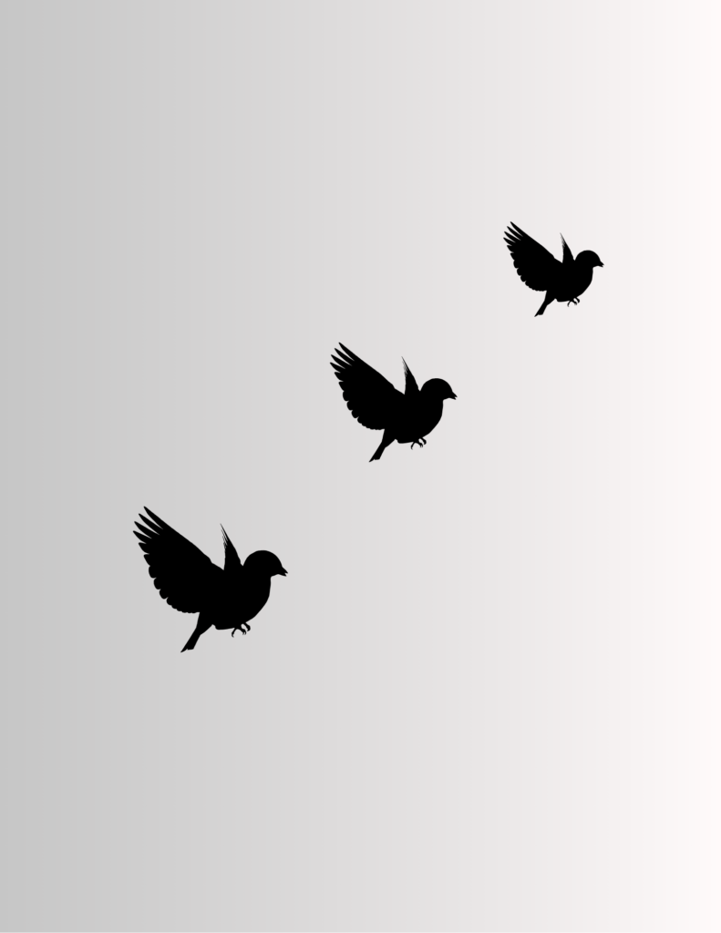 join the digital flock's flock